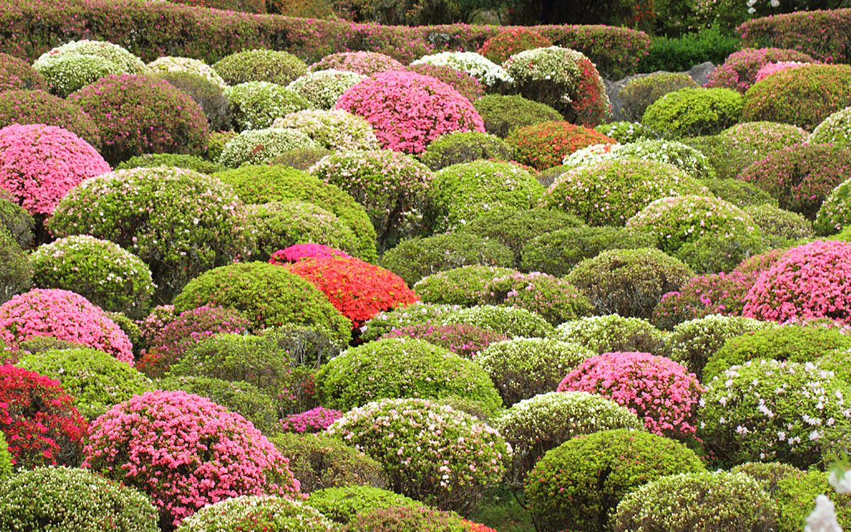 標準的なWebサイトに必要な基本機能を全て装備